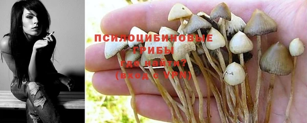 тгк Нефтекумск