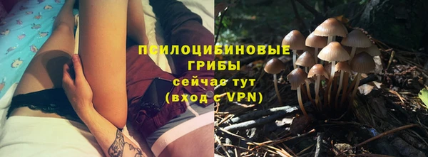 тгк Нефтекумск