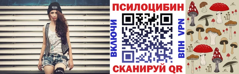 Галлюциногенные грибы Psilocybe Ленск