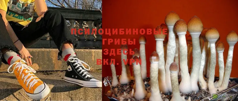 Галлюциногенные грибы MAGIC MUSHROOMS  blacksprut ссылки  Ленск 