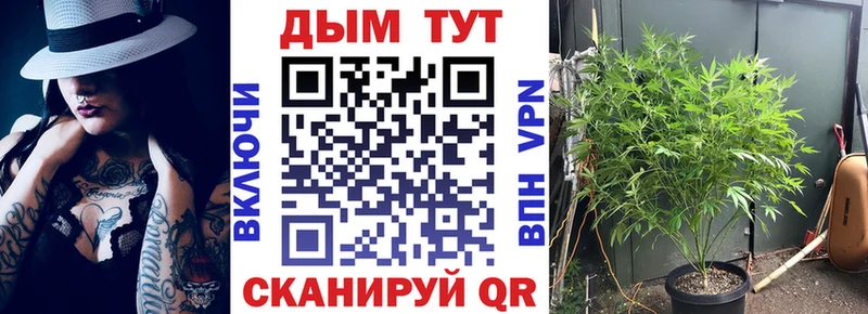 Бошки марихуана MAZAR  где купить наркотик  darknet состав  Ленск 